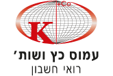 רואה חשבון